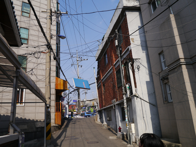 P1070305.jpg