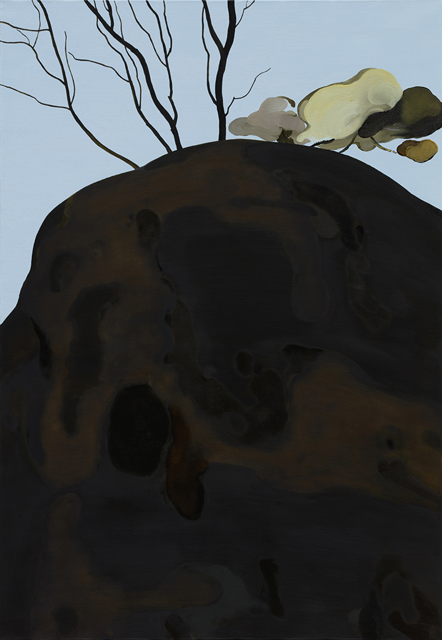 900_바위,oil on linen,116.5x80.5cm,2019.jpg