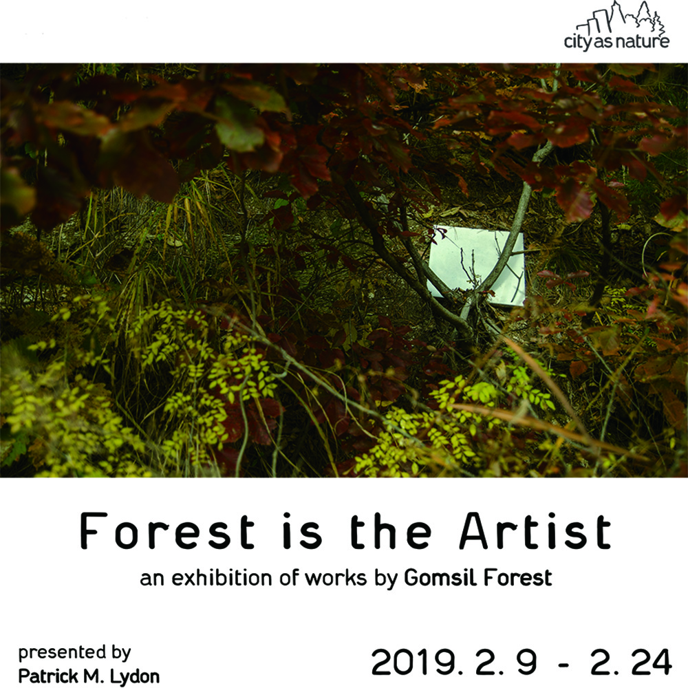 0.forest-is-artist-poster_f1000.jpg