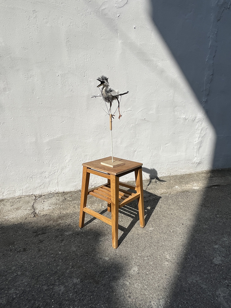 900_3. 어린 왜가리 Young heron, 봉제인형 오토마타, 28x19x50cm, 2025.jpg