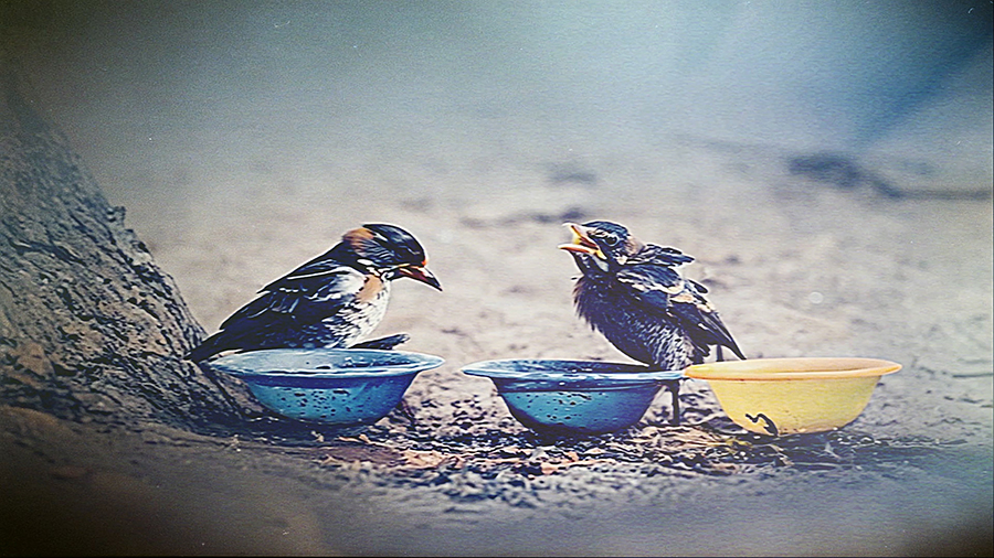 900_06_합성 에덴의 최면 전류.jpg